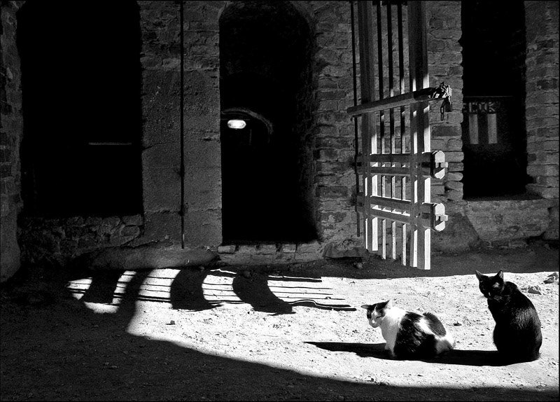 Hüter des alten Tores