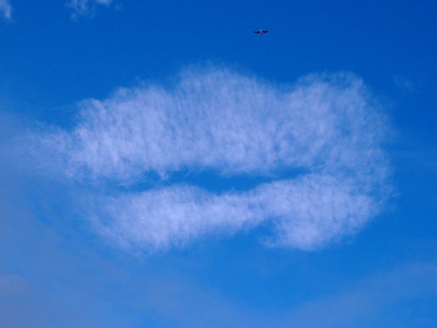 Heavenly küssen ...