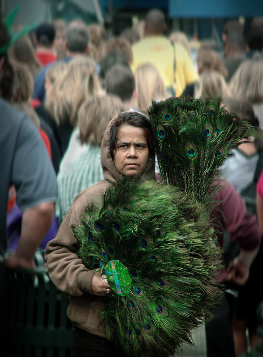 Verkäufer Straußenfedern