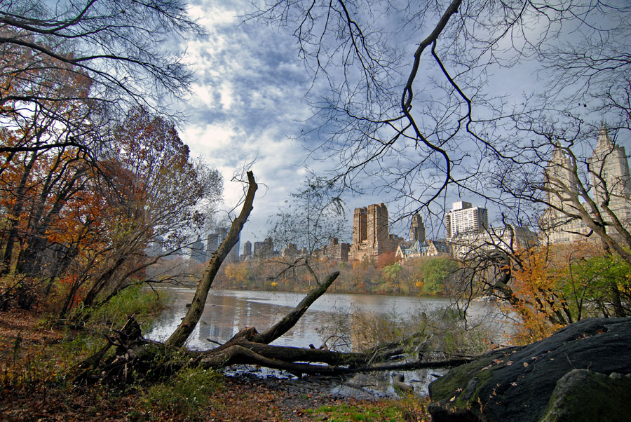 Morgen im Central Park