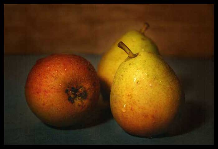 Geschenke des Herbstes