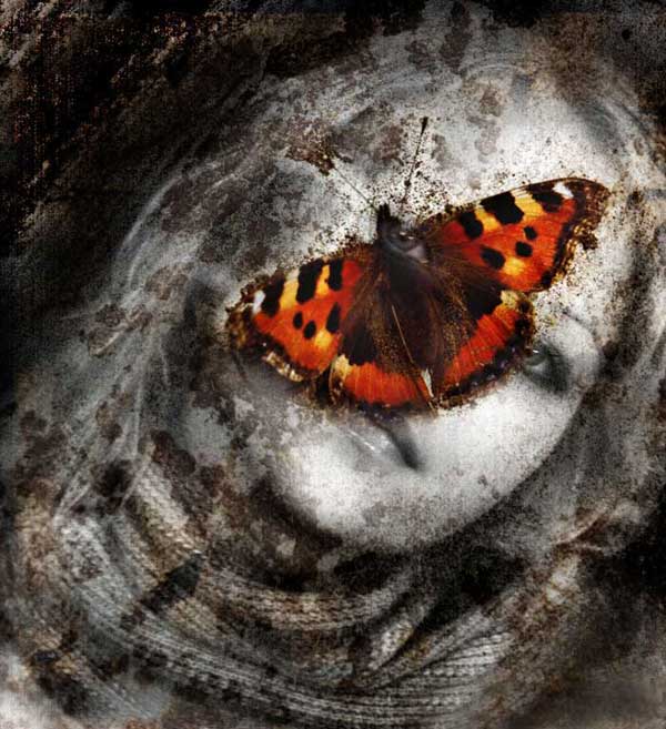 Traum oder Wirklichkeit?