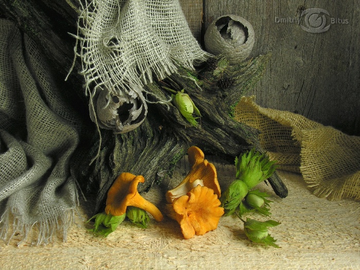 Pfifferlinge und Walnüssen