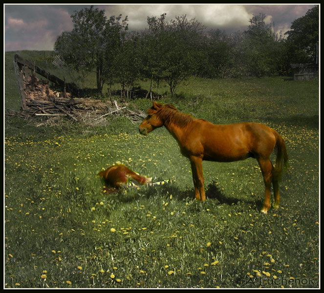 Alles, was bleibt ...