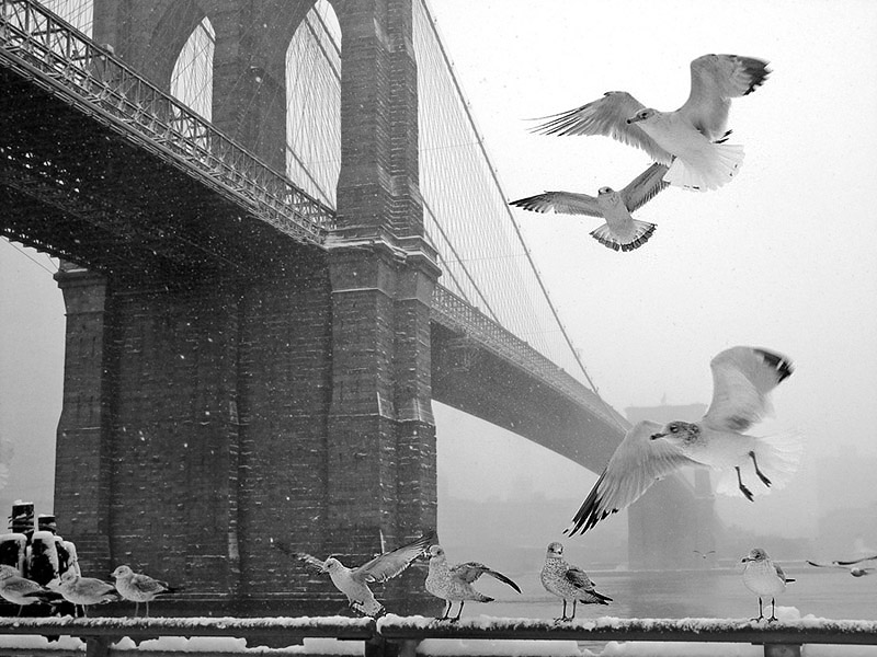 Brooklyn Bridge bei Schneefall-3