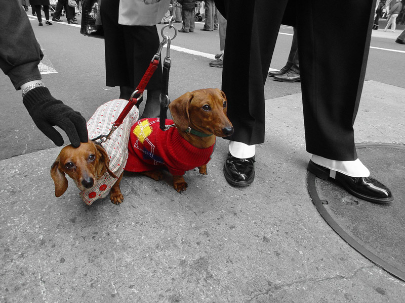 5 Avenue. New York. Ostersonntag.