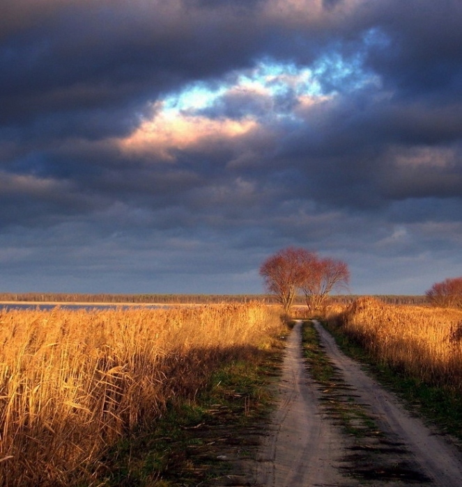 in den Strahlen der Wintersonne
