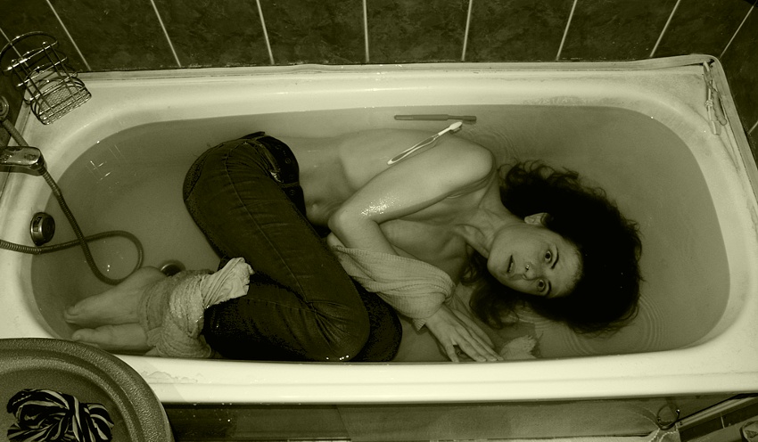 Die neueste Dienstleistung der öffentlichen Hand zu einem vernünftigen Preis