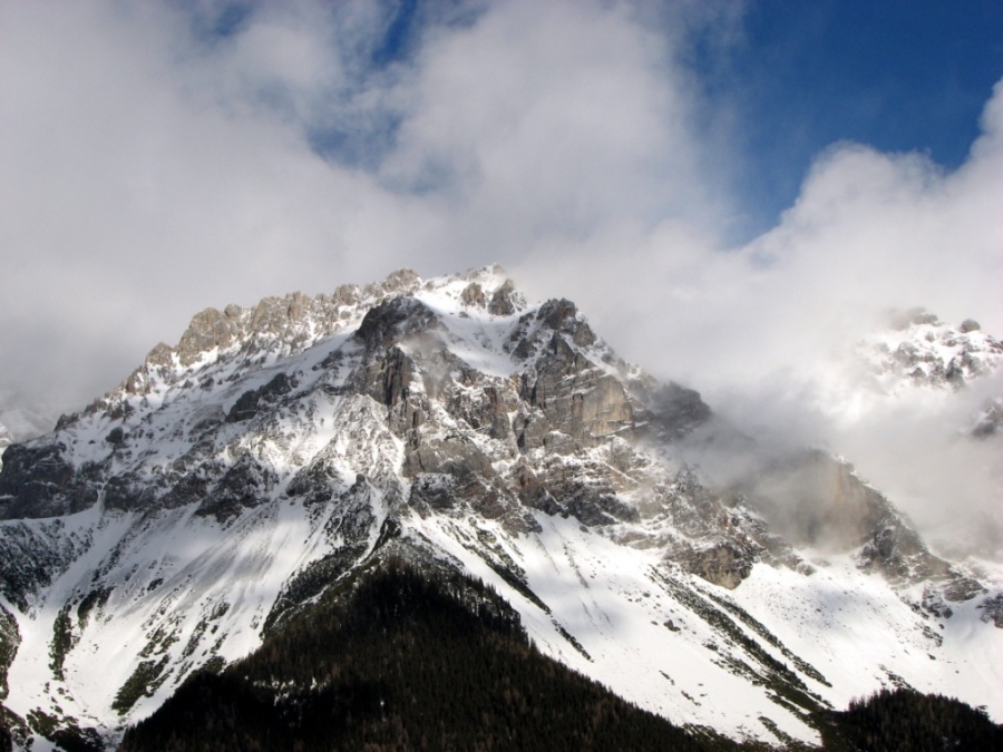 Ich beuge mich vor deiner Größe ...