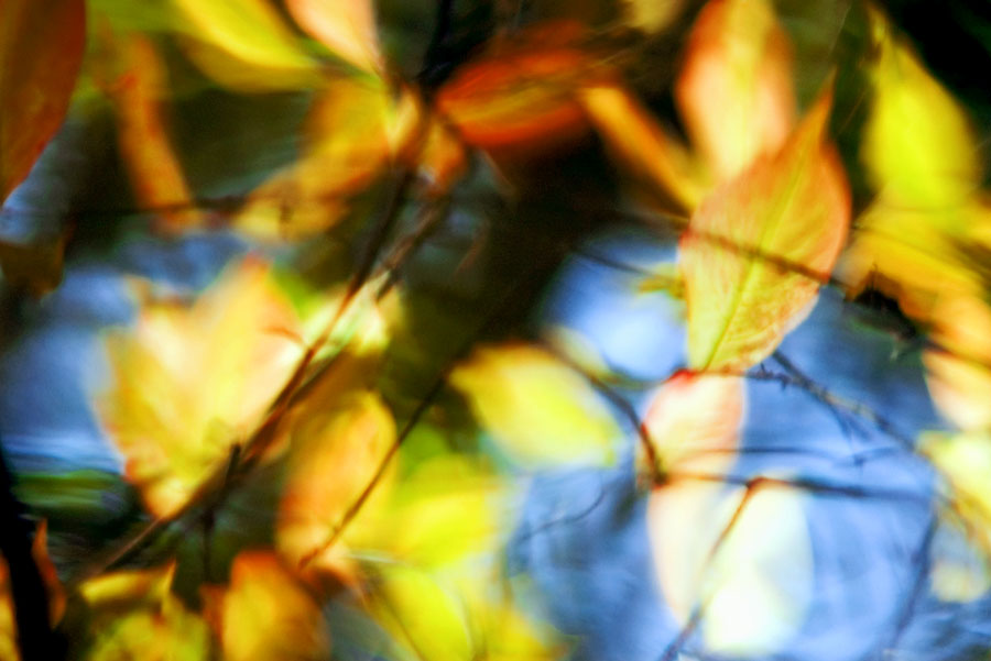 Melody des Herbstes (Jazz)