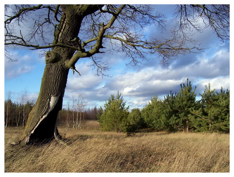 letzten Tag der verlängerten Herbst