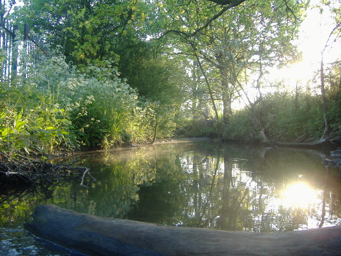 Es war der Morgen ...