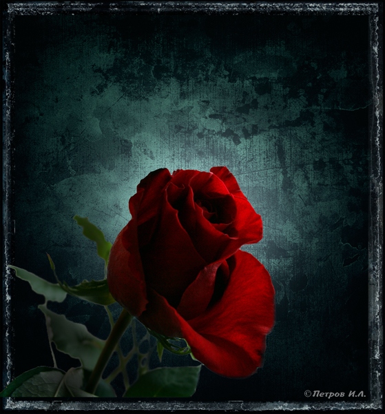 Porträt einer unbekannten Frau in Rot