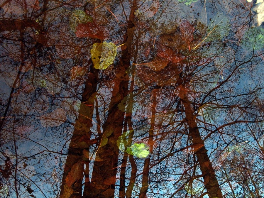 an einem sonnigen Nachmittag im Herbst