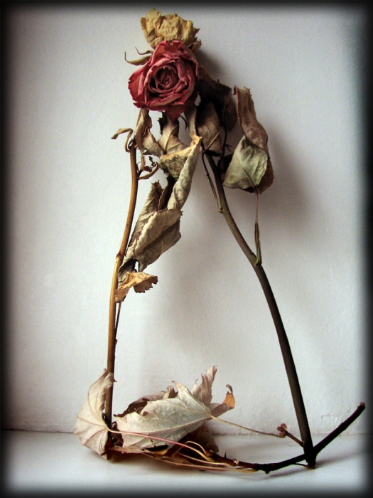 weil du mich lieb? ..