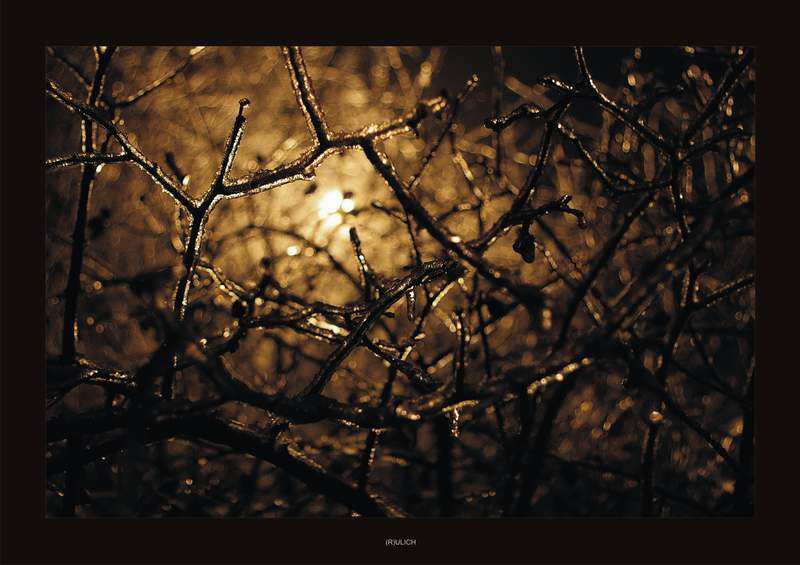 Blumen für seine Freundin