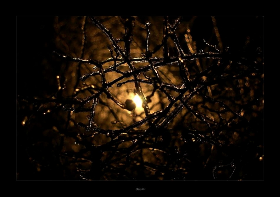 Vorstoß in das Licht