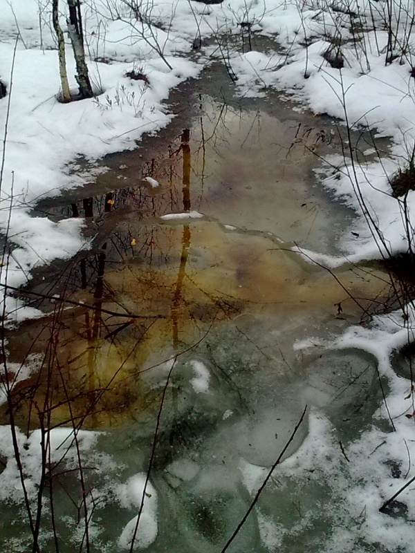 Fantasy Forest Tauwetter Löcher