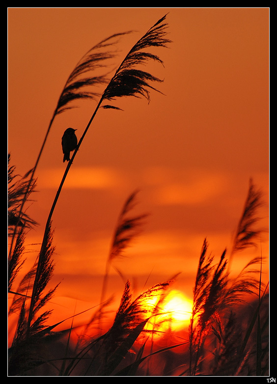 Die Begegnung mit einem neuen Tag