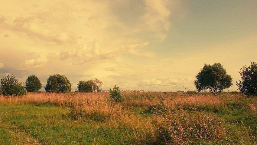 malen verlassen Sommer