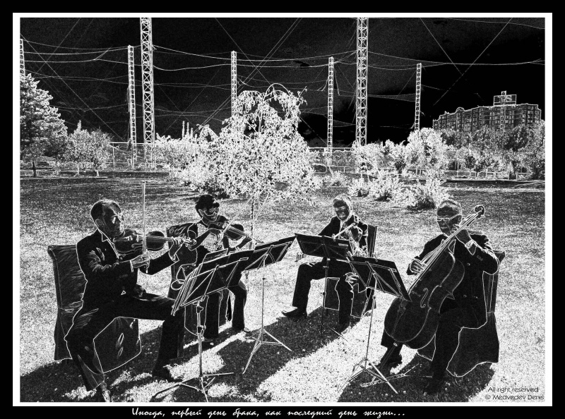 Der erste Tag der Ehe ist der letzte Tag des Lebens