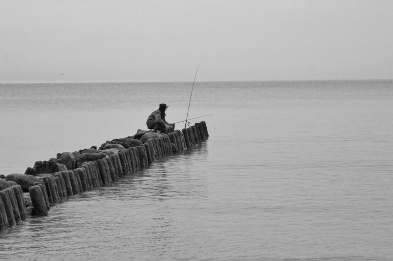 Traum von einer Gold-Fisch