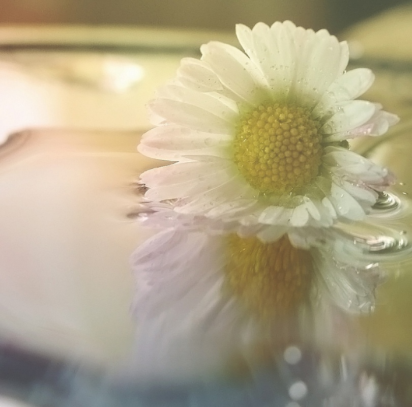 ..... Drowning in seinem eigenen Zärtlichkeit ......