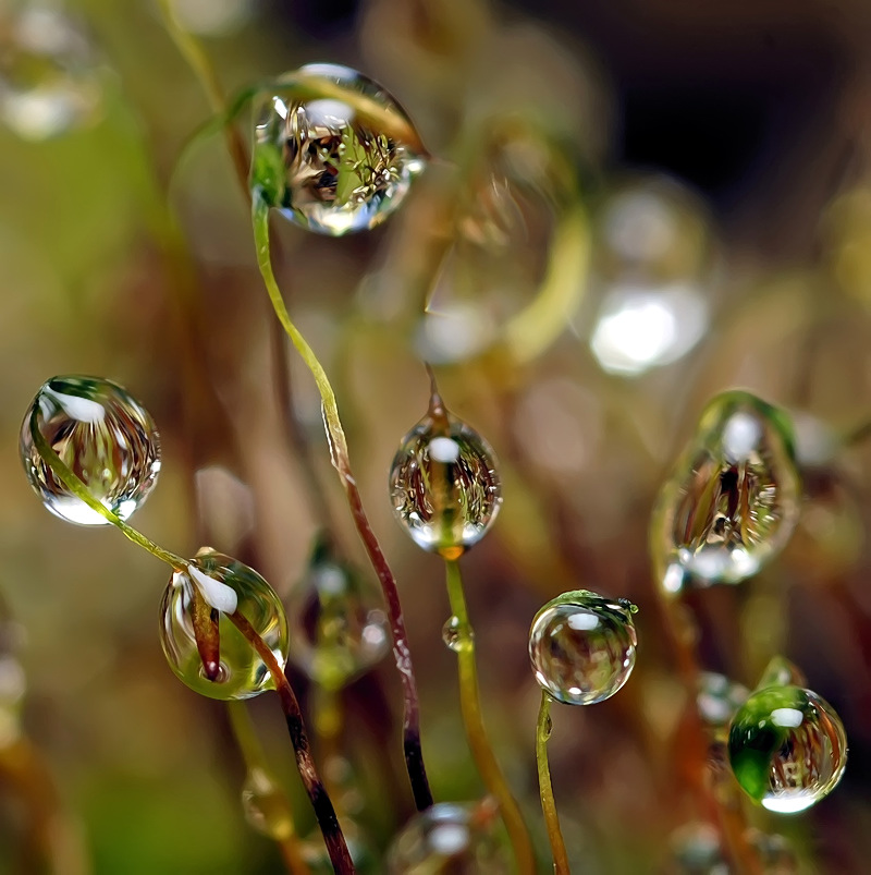 Auch hier ist es nicht heiß ..