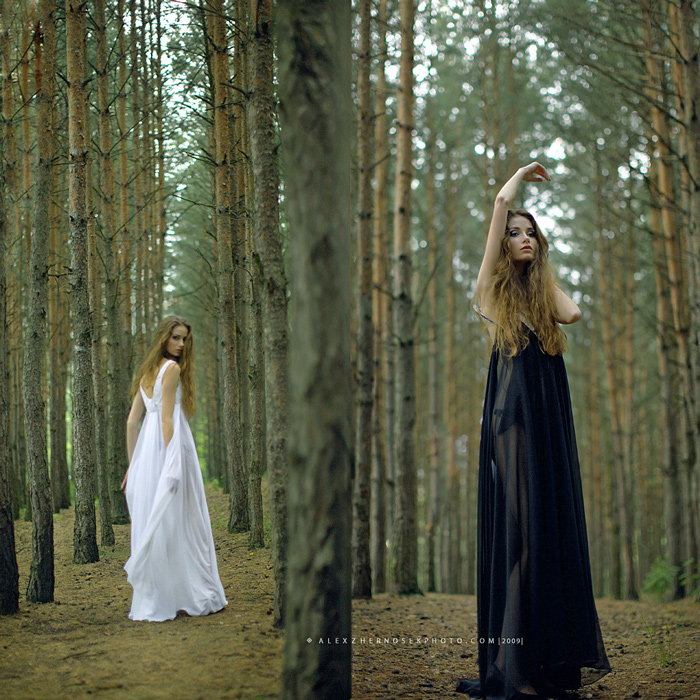 Forstwirtschaft (Fortsetzung)