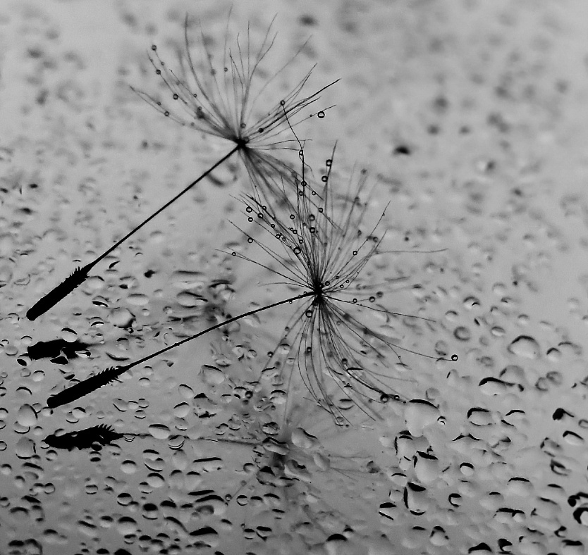 ....dance with me.....