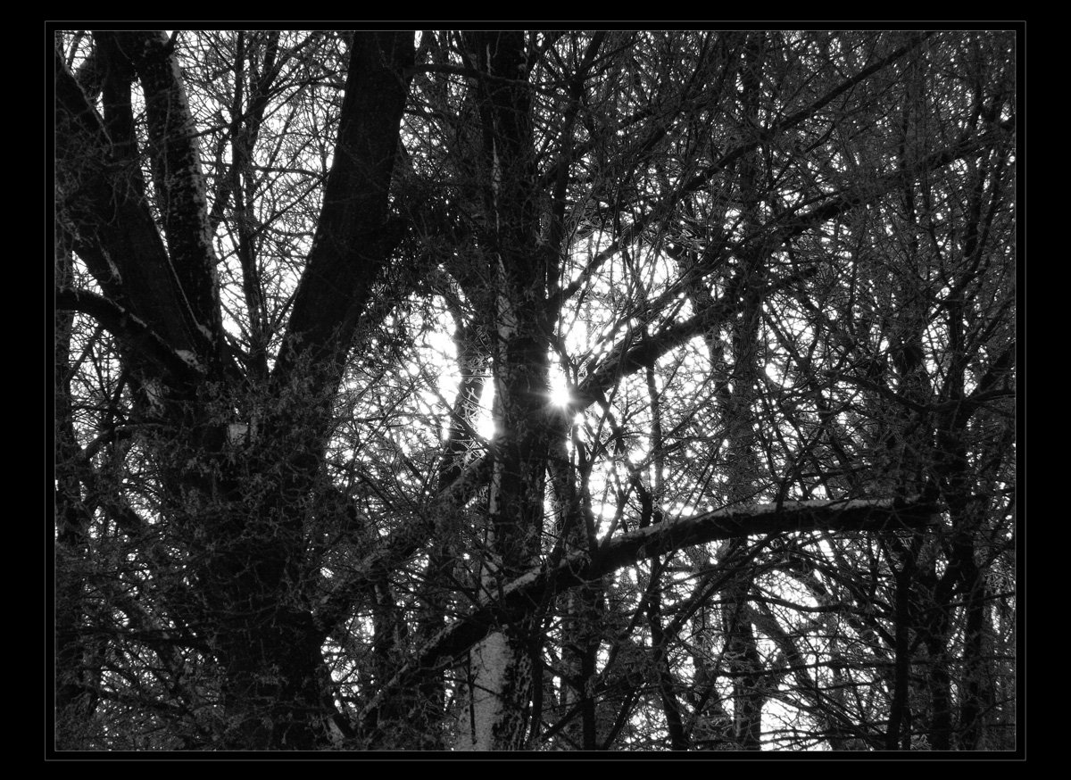 ... denken darüber.