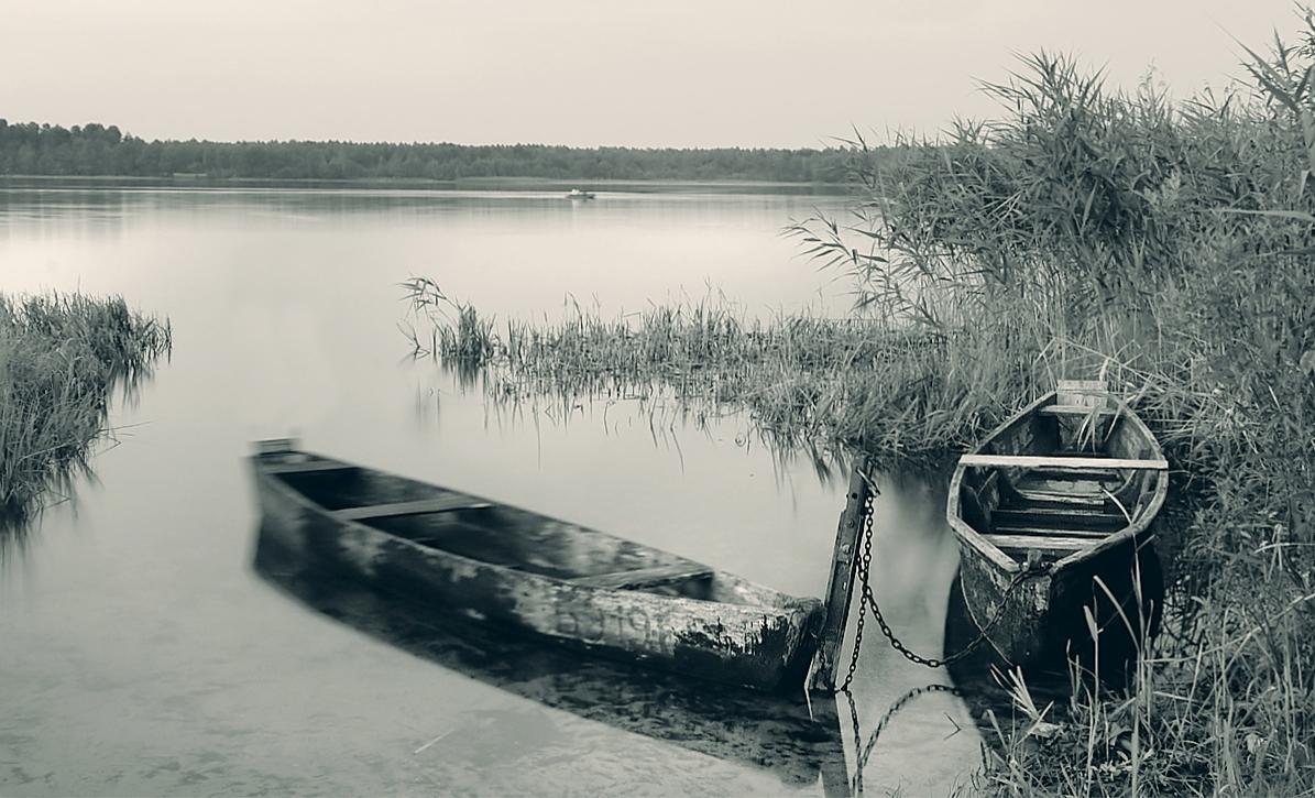 und durch die Abendluft Rose