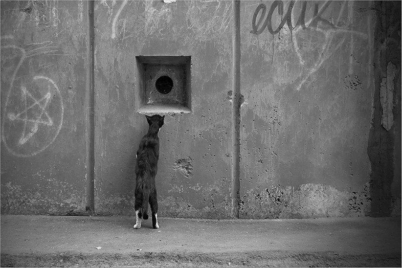 Buntstifte sind vorbei, lassen Sie die Farbe!