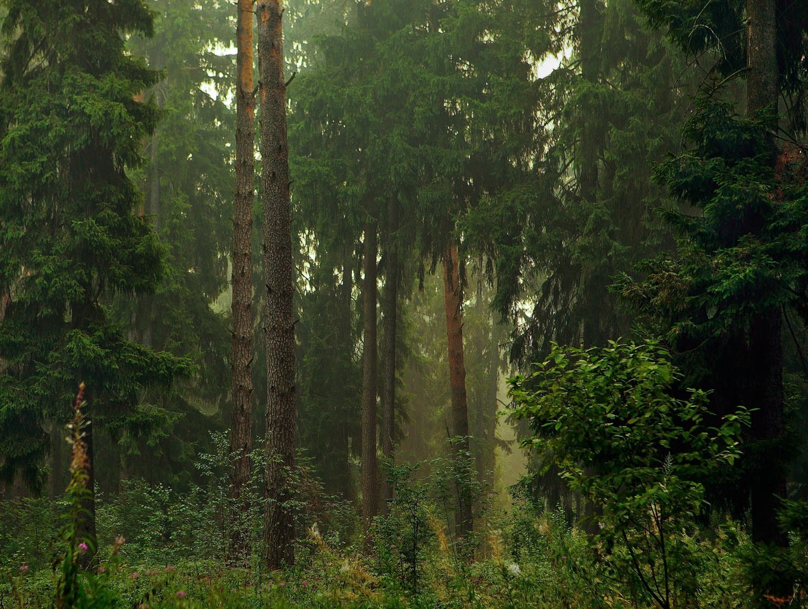 3D-Versuch sm.komment