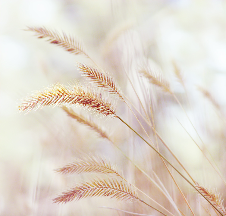 Sommer wie weggeblasen ...