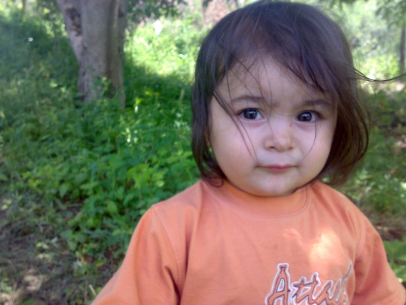 Beispiel der Unschuld