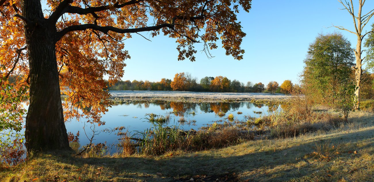 "Die Farben des Herbstes"