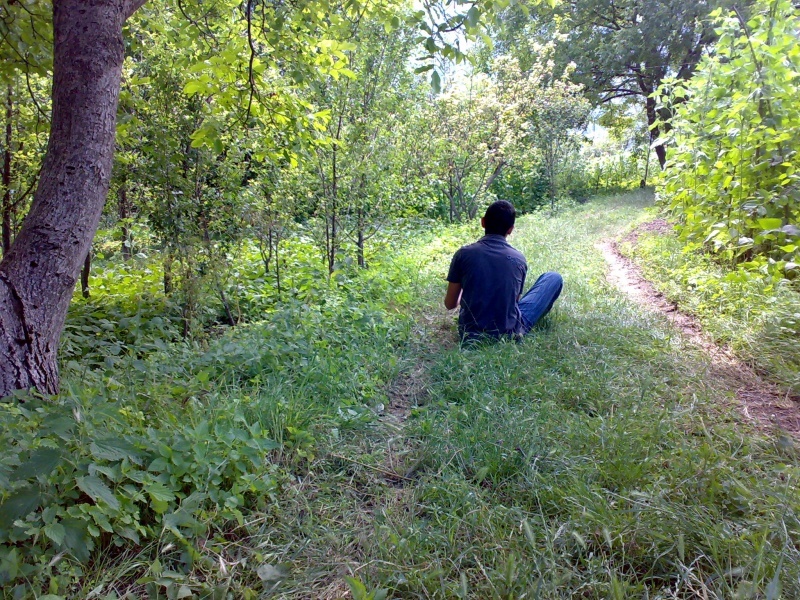 Das Leben ist schön ...