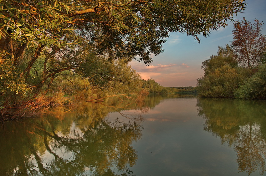 Der warme Ton der ...