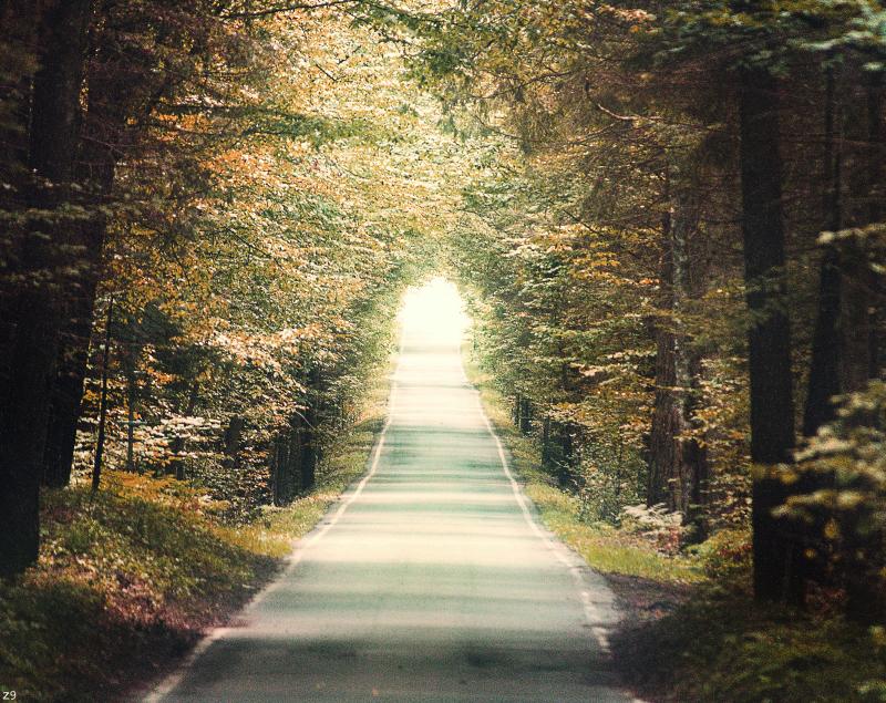 Ausflug ins Paradies