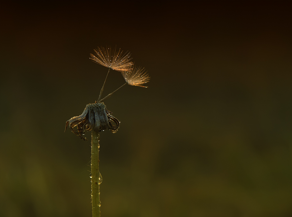 Wenn wir zusammen sind ...