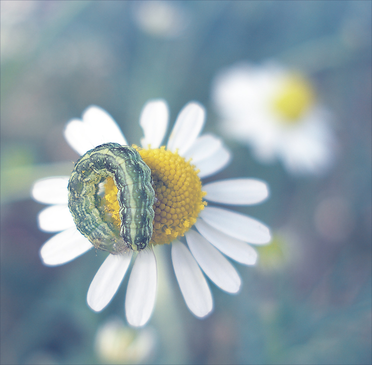 Jetzt können Sie etwas zu schlafen ...
