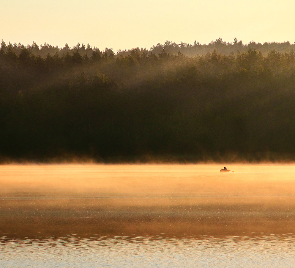 Sonnenaufgang in Gold
