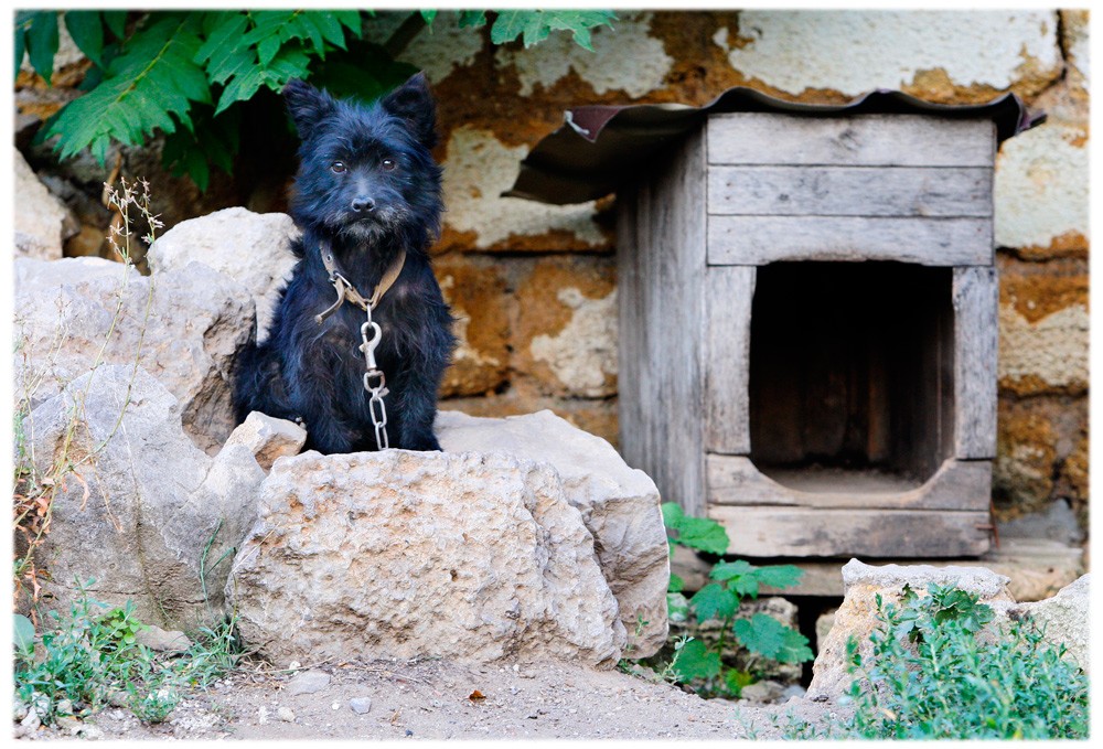 Watchman und seine Heimat