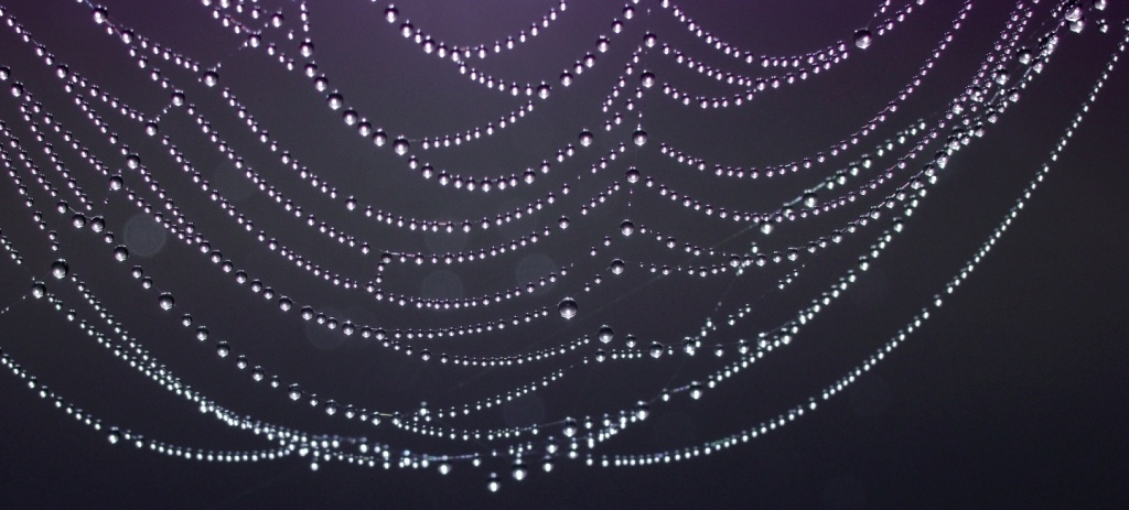 A Hundred Little Suns