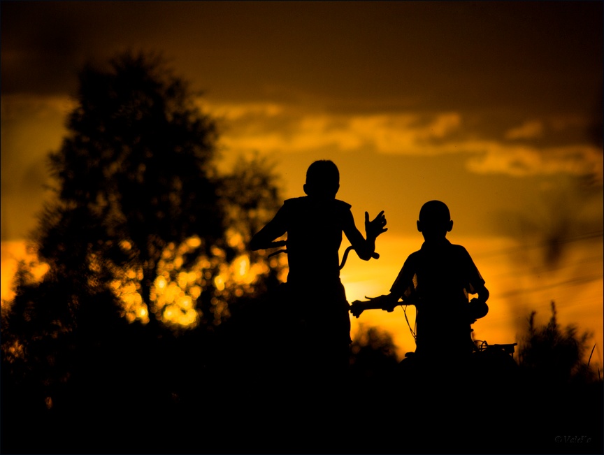 Wenn die Bäume waren groß.