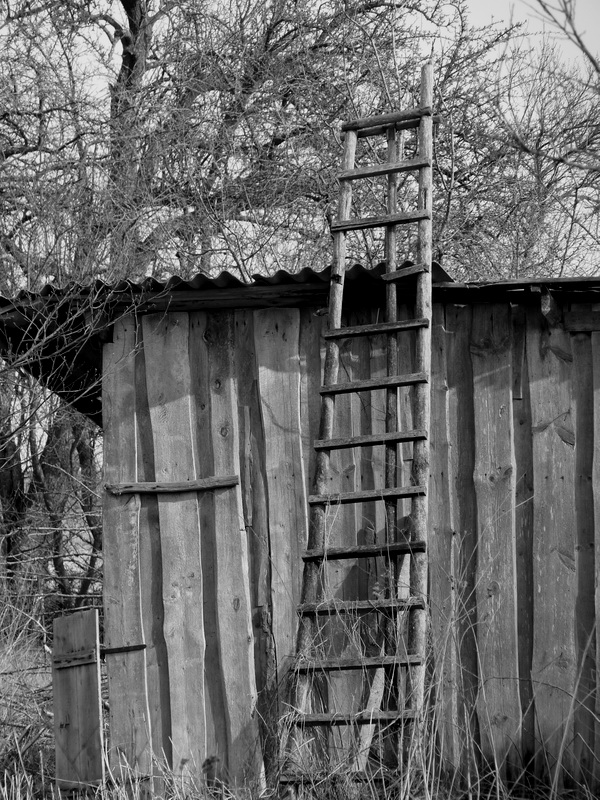 Road to Nowhere ....