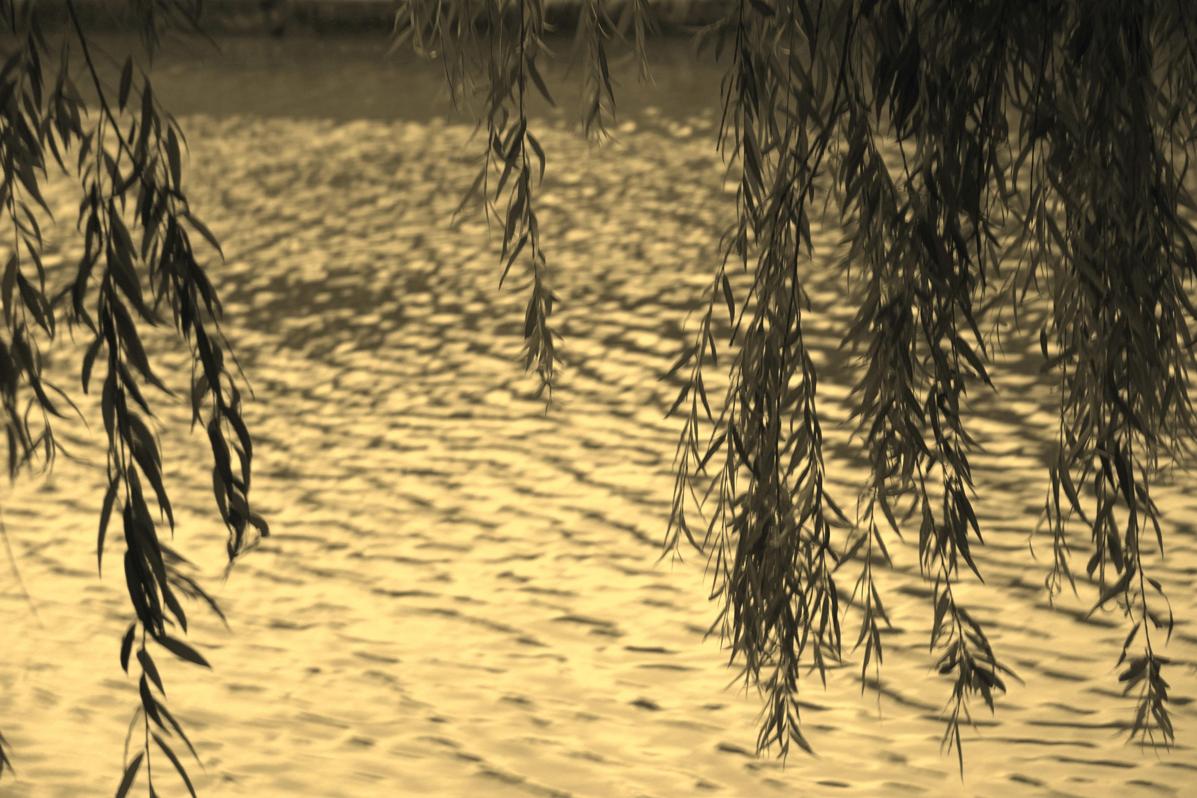 In der vergoldeten ...