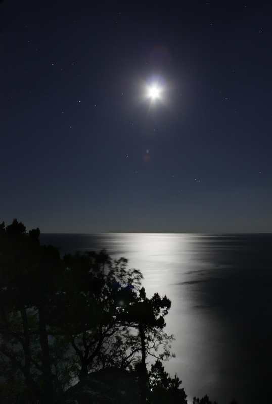 .......... .......... Night Tourist