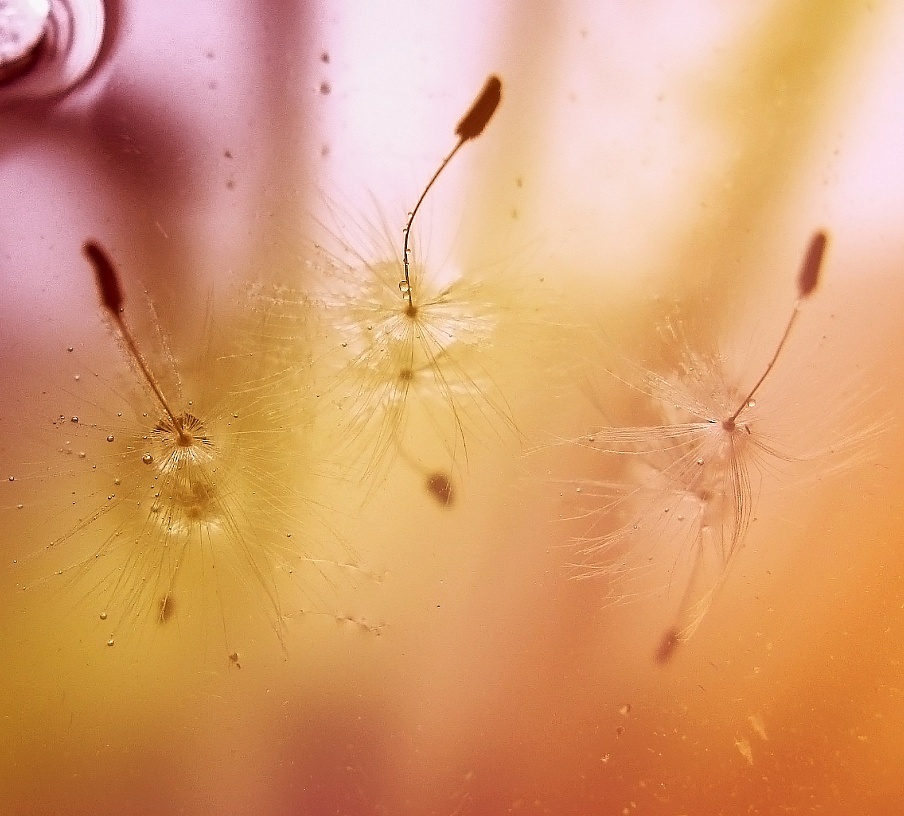 ..... In einem Kristall Walzer dreht .....